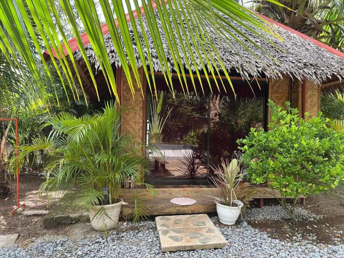 Bohol Island Homestay Dauis Exterior foto