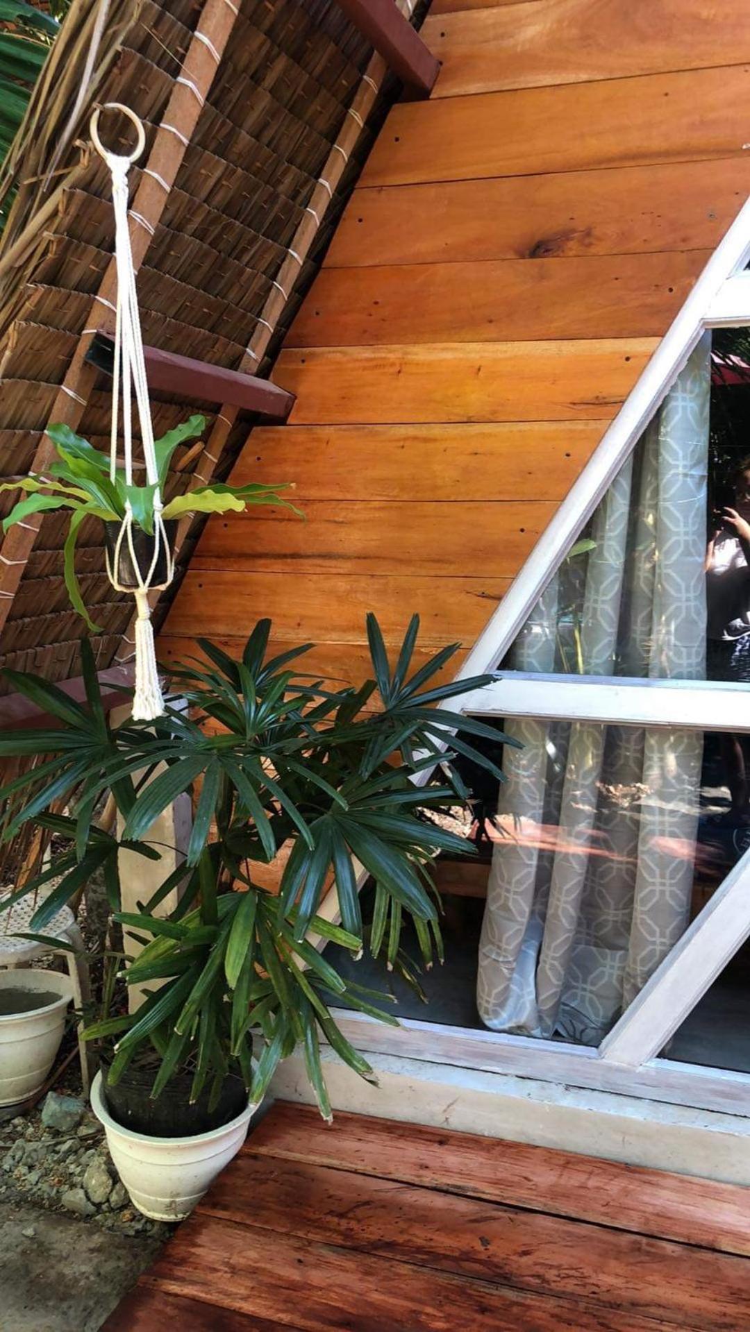 Bohol Island Homestay Dauis Exterior foto