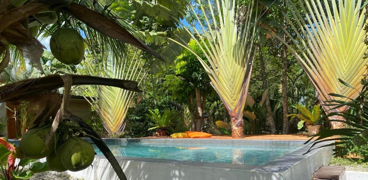 Bohol Island Homestay Dauis Exterior foto