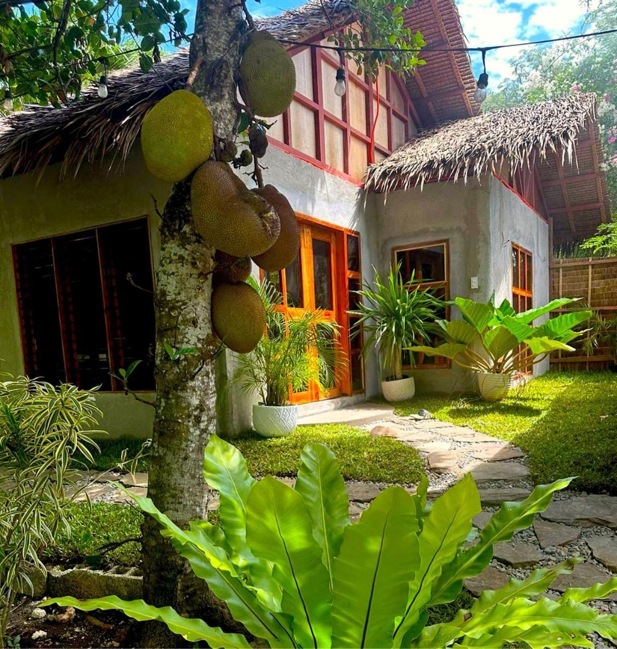 Bohol Island Homestay Dauis Exterior foto