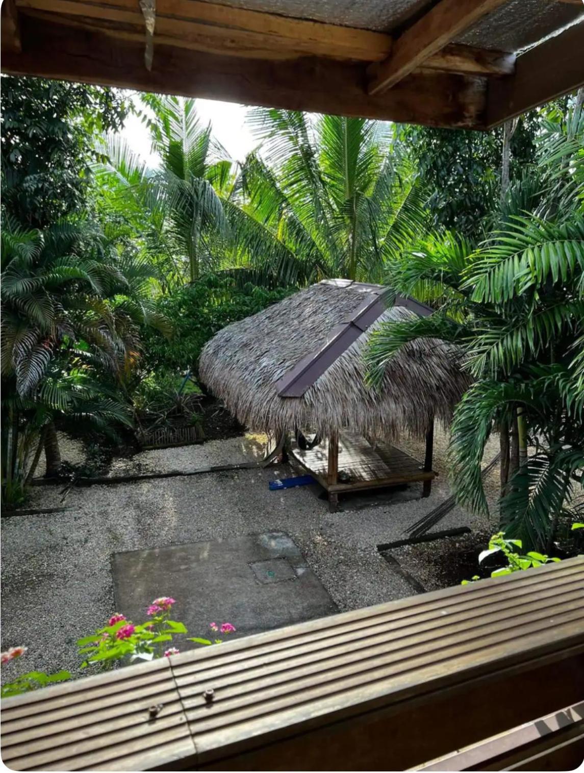 Bohol Island Homestay Dauis Exterior foto
